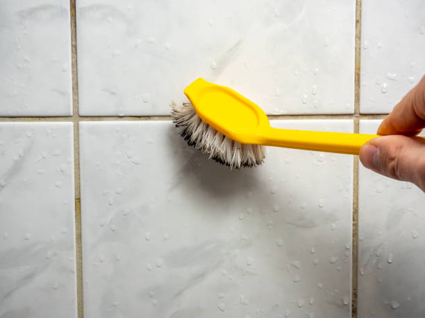 Best Mold Removal Company Near Me  in St Helen, MI
